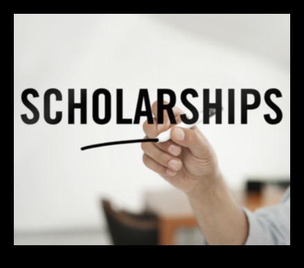 Scholarship Opportunities A Guide to Finding and Applying 1